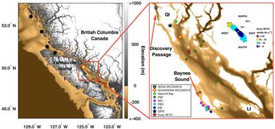 Marine CO2 Patterns in the Northern Salish Sea